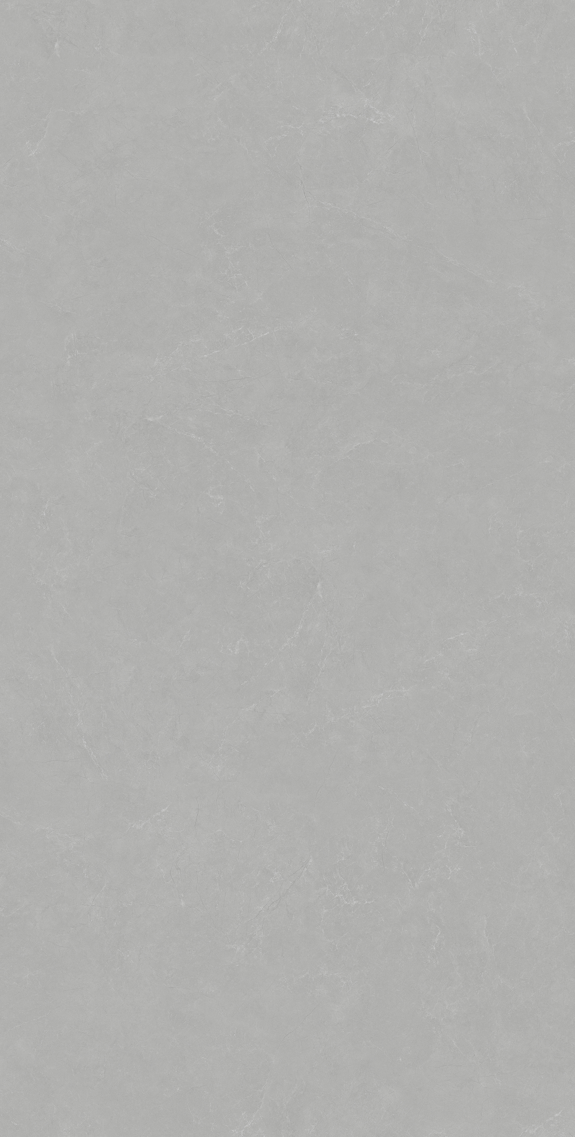 鲟鱼灰