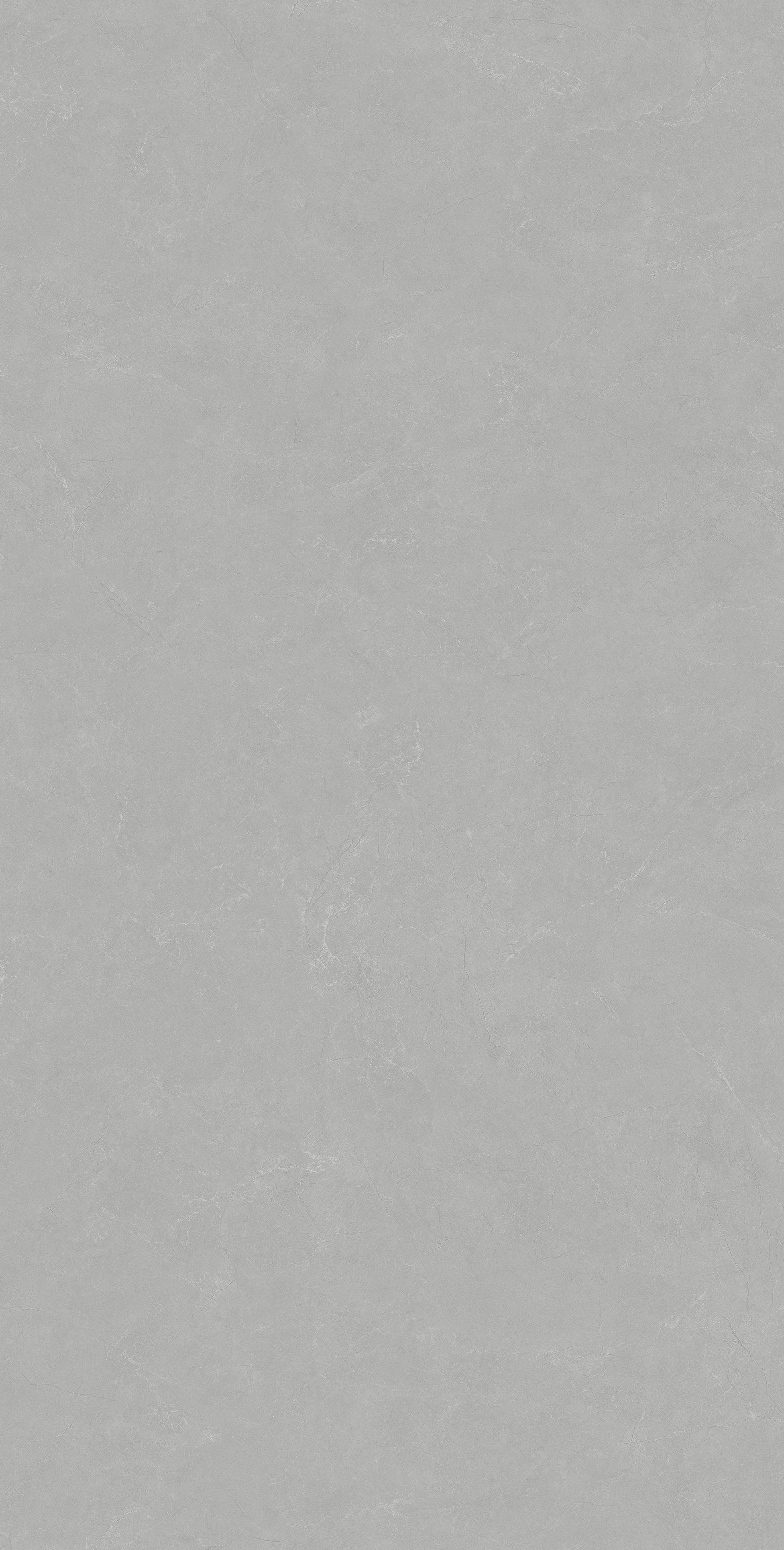 鲟鱼灰